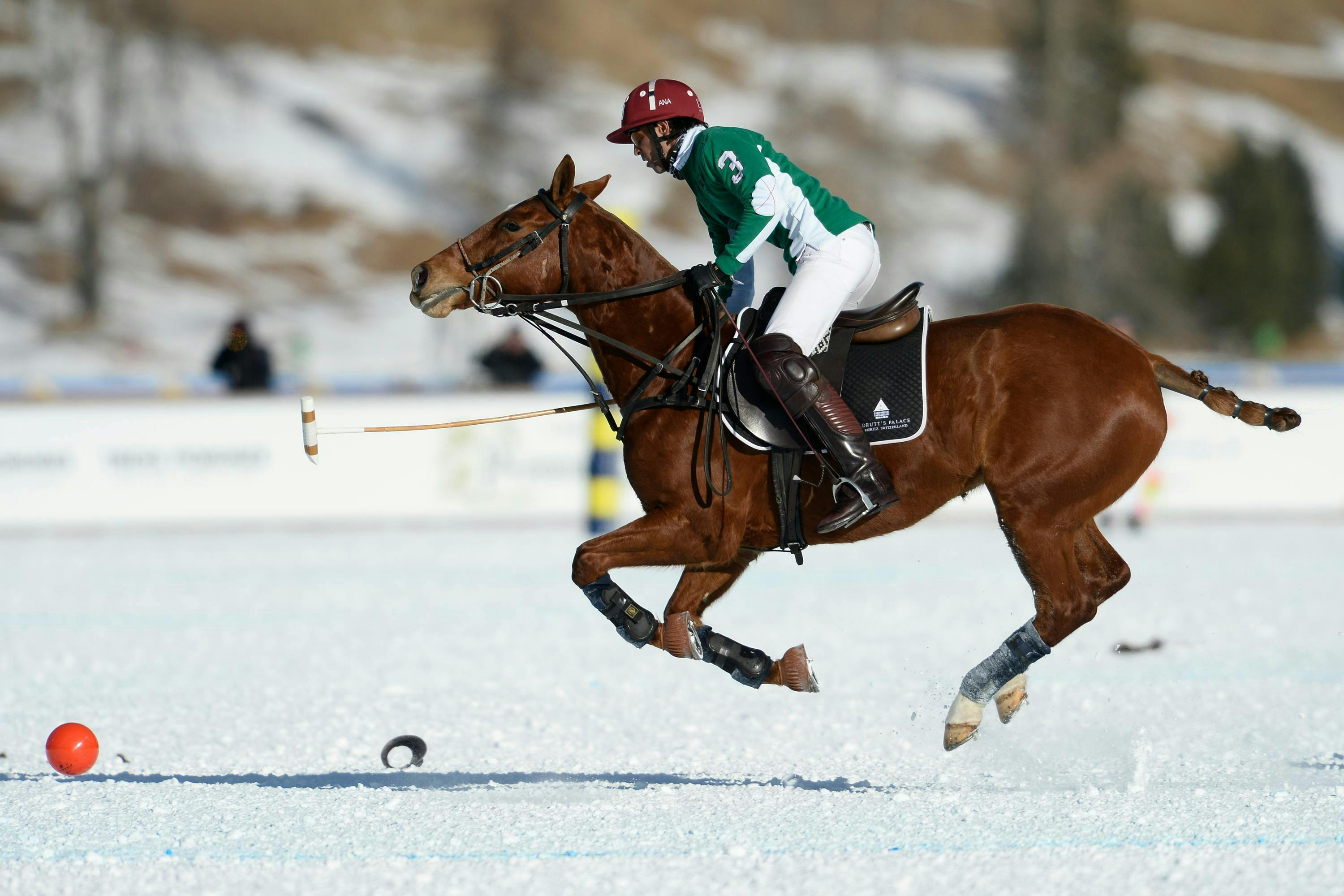snow polo world cup st moritz 2017 day 1 badrutts palace maserati 27/01/2017 horse mammal animal person human helmet clothing apparel equestrian