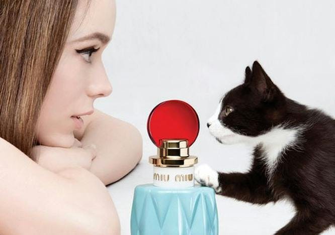 perfume bottle cosmetics person human cat animal mammal pet