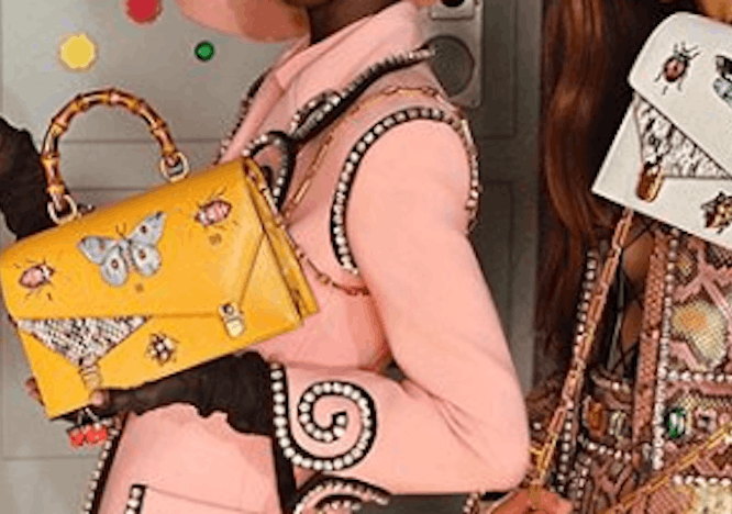 accessories accessory handbag bag person human purse