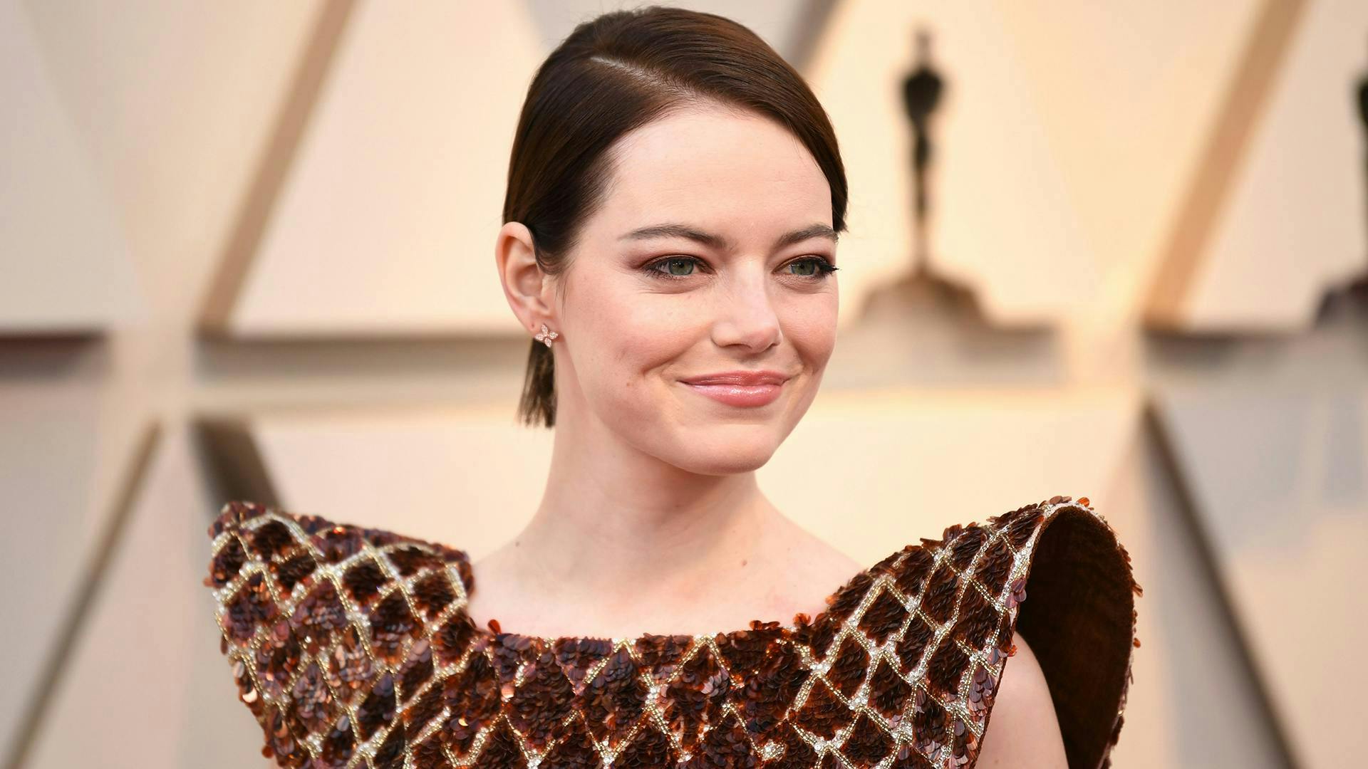 91st annual academy awards arrivals los angeles usa 24 feb 2019 emma stone oscars actor female personality 78359768 clothing apparel sleeve evening dress gown robe fashion person human long sleeve